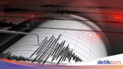 Gempa M 3,3 Guncang Kepulauan Sangihe Sulut