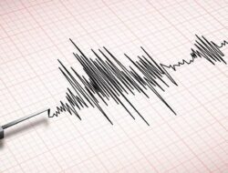 Gempa M 4,8 Guncang Maluku Tenggara