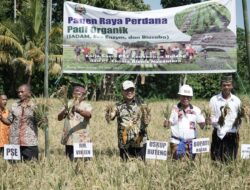 Petani di Manggarai Barat, Buat Pupuk Organik untuk Selamatkan Alam dan Merdeka dari Tengkulak