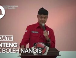 Banteng Nggak Cengeng, Kalah Bangkit Lagi!