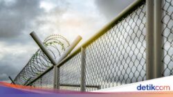 Tikam Mati 3 Anak, Remaja Inggris Dihukum Penjara Seumur Hidup