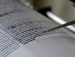 Gempa Kembali Terjadi di Daruba Malut, Magnitudo 3,1