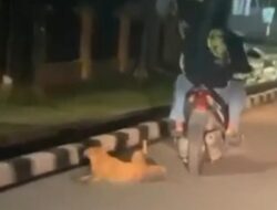 Viral Pemotor di Jambi Ikat dan Seret Anjing, Polisi Selidiki