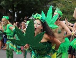 Australia Perkenalkan Rancangan UU Legalisasi Ganja untuk Pemakaian Pribadi