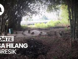 Penampakan Desa ‘Hilang’ di Gresik Karena Teror Macan