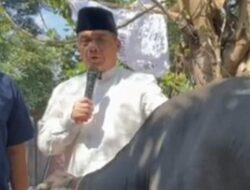 Ariza Ungkap Prabowo Kurban 30 Sapi di DKI: Jaga Keikhlasan dan Persatuan