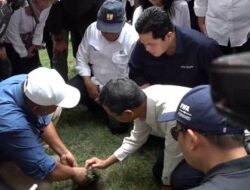 Rumput JIS Tidak Sesuai Standar FIFA