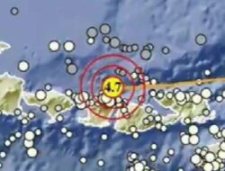 Gempa M 4,6 Guncang Pulau Panjang NTB