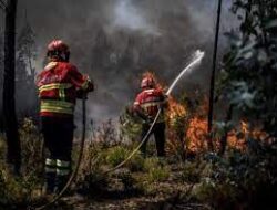 Ribuan Orang Diungsikan Imbas Kebakaran Hutan di Portugal