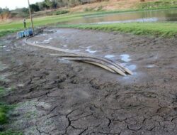 Embung Grojogan di Jombang Mengering