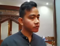 Saya Kan Tugasnya Disuruh-suruh Aja