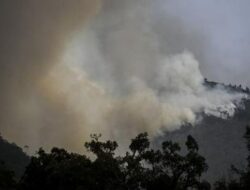 Kebakaran Hutan Portugal Meluas Akibat Panas Ekstrem, 1.400 Orang Mengungsi