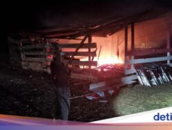 3 Pria Bakar Kantor-Bunuh Kepala Distrik di Fakfak Papua Ditangkap!