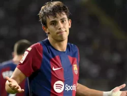 Joao Felix Memang Tidak Cocok dengan Atletico Madrid