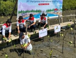 Jaga Kelestarian Laut, PIS Tanam 1.500 Pohon Mangrove di Batam