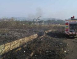 Kebakaran Lahan Terjadi di 4 Titik dalam Sehari di Bogor