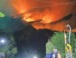 Kebakaran Gunung Lawu Kian Meluas