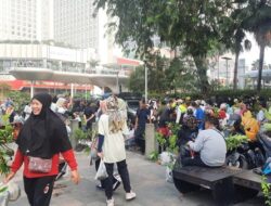 Kurangi Polusi, 30 Ribu Pohon Dibagikan Gratis di CFD Sudirman-Thamrin