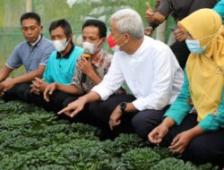 Ganjar Bicara Lahan Pertanian Makin Tergerus: Butuh Strong Leadership