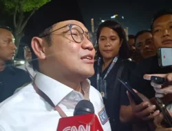 Lawan AMIN Saya Kira Standar Saja