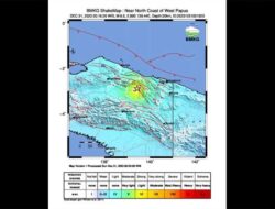 Gempa M 6,5 Guncang Kobagma Papua