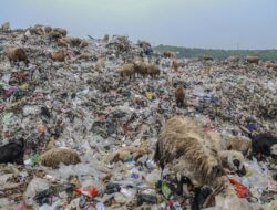 TPAS Regional Dibangun di Lebak, Akan Kelola Sampah se-Banten Jadi Energi