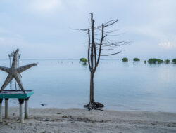 Banyak Pulau dan Pesisir Tenggelam, Batas Wilayah RI Bisa Berkurang