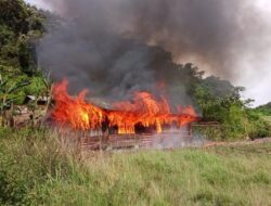 Kecewa TPS Dipindahkan, Warga di Paniai Bakar Kantor Distrik Baya Biru