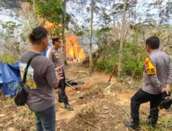 Sumur Minyak Ilegal di Jambi Sudah 3 Pekan Tak Kunjung Padam