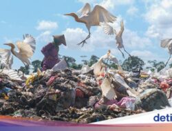 Usai Lebaran, Volume Sampah di Kendari Mencapai 270 Ton Per Hari