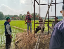 Kades Gombang Blora Tewas Tersengat Listrik Pompa Air Aliran Sawah