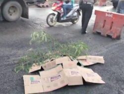 Pemotor Tewas Terbentur di Jalur TransJ Pulogadung Usai Kaget Tabrak Sepeda