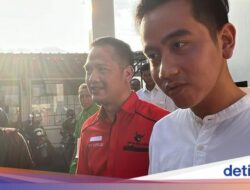 Gibran soal Gelora Tolak PKS Gabung Koalisi: Semua Dirangkul