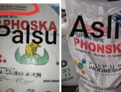 Asosiasi Bank Benih Tani Indonesia Soroti Maraknya Pabrik Pupuk Palsu