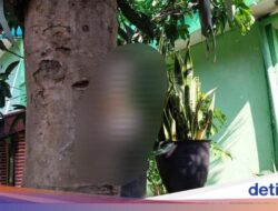 Polisi Amankan Pria yang Paku Kucing di Pohon Perumahan Malang!