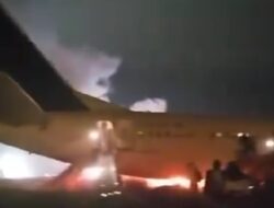 ‘Bird Strike’ Bikin Mesin Boeing 737 Terbakar-Mendarat Darurat di Selandia Baru