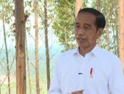 Jokowi Belum Berani Jajal Minum Air dari Keran di IKN