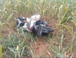 Geger Mayat dalam Karung di Atas Motor Nopol Jaksel di Kebun Jagung Lampung