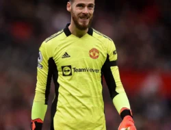 6 Pemain Top Gratisan Musim Panas Ini: De Gea sampai Hummels