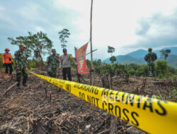 Lahan di Taman Nasional Bukit Tigapuluh Jambi Jadi Ladang Sawit Ilegal