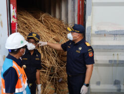 Bea Cukai Bongkar Penyelundupan 50,3 Ton Rotan Ilegal, Modus Dokumen Palsu