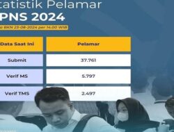 Info Data Statistik Pelamar CPNS 2024 Berdasarkan Data BKN Terkini