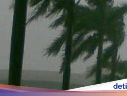 Badai Terjang Florida, 25 Paket Kokain Senilai $1 Juta Ikut Terbawa Angin