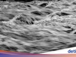 19 Titik di Bandar Lampung Terendam Banjir Usai Diguyur Hujan Deras