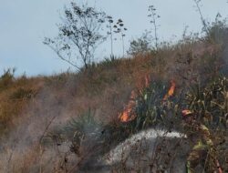 Masuk Hari Ketiga, Kebakaran Gunung Guntur Garut Belum Padam