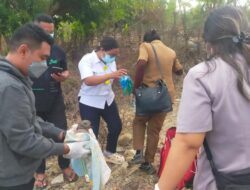 Mayat Bayi Dimakan Anjing di NTT Ternyata Dibuang Eks Kades dan Bendes