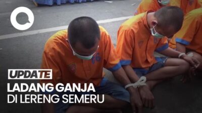 Video Wajah 4 Pelaku yang Tanam 41 Ribu Batang Ganja di Lereng Semeru