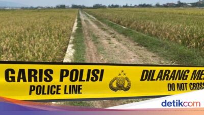 Mayat Pria Tanpa Identitas Bersimbah Darah Ditemukan di Sawah Banjarnegara