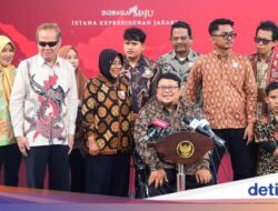 Bertemu Jokowi, Ketua PPDI Dorong Implementasi UU Penyandang Disabilitas