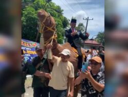 Heboh Legislator di Asahan Diarak Naik 'Unta' Setelah Dilantik